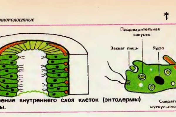 Ссылка адрес на кракен тор